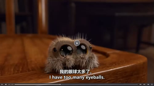 《Lucas the Spider 小蜘蛛卢卡斯》121集动画短片视频+中英双字幕全套下载第3张-惠学吧-虚拟资源货源网 《lucas The Spider 小蜘蛛卢卡斯》动画短片 视频+中文字幕全套下载